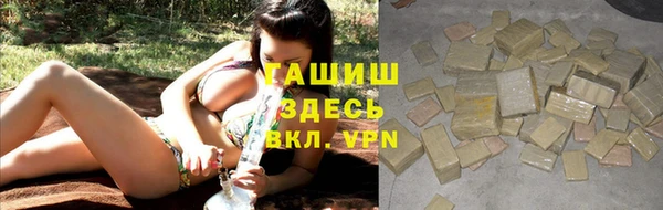 гашик Бородино