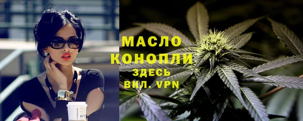 гашик Бородино