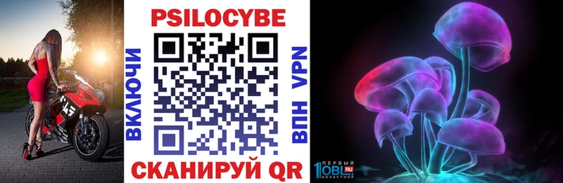 Галлюциногенные грибы Psilocybe  Купить где  Исилькуль 