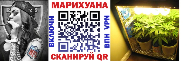 Бошки марихуана индика  Купить закладки  Исилькуль 